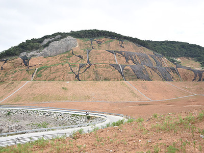 道人山涂土地边坡治理工程